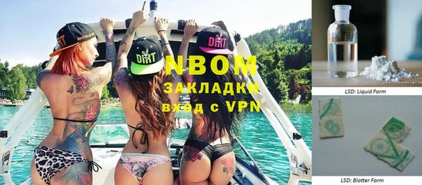 шишки Балахна