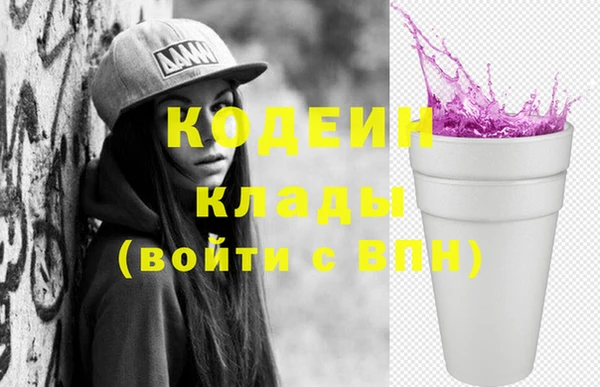 шишки Балахна