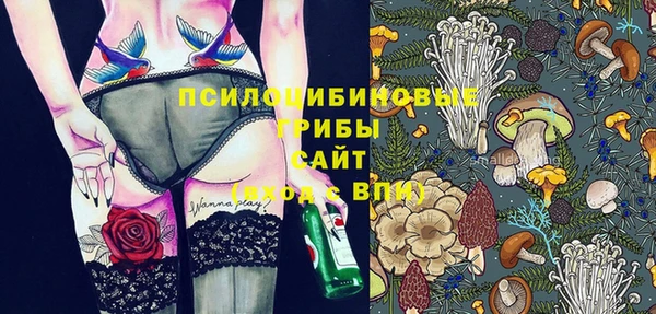 шишки Балахна