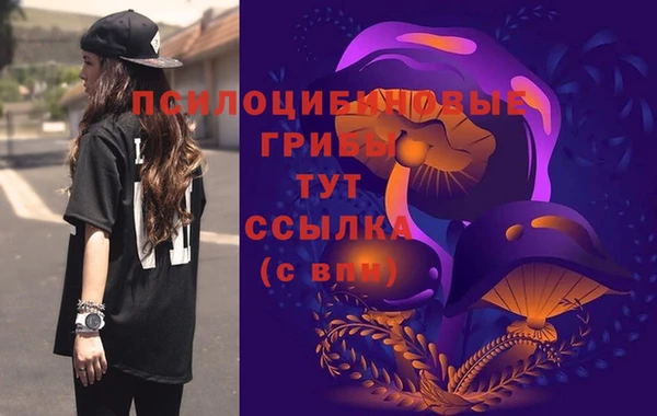 шишки Балахна